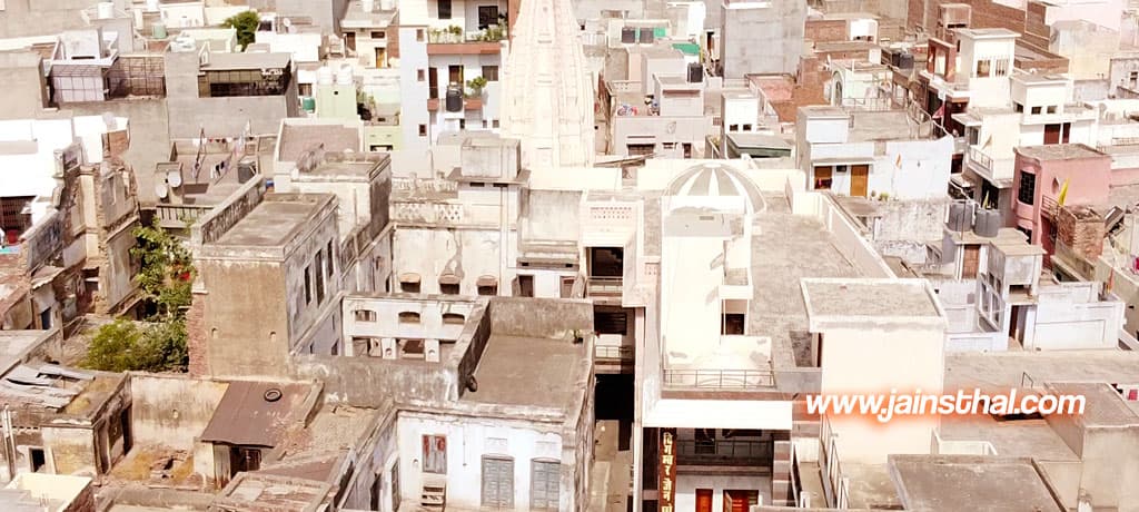 Hisar Chota Jain Mandir