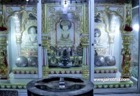-krithal-ji-digambar-jain-atishaya-kshetra-.jpg