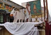 -buria-jain-mandir-shobha-yatra--.jpg