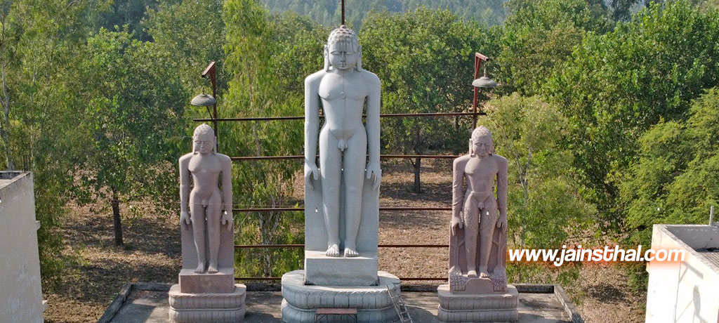 -ahinsa-dharmarth-tirth-ambala-.jpg -ahinsa-dharmarth-tirth-ambala-.jpg